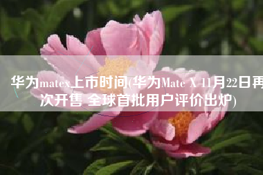 华为matex上市时间(华为Mate X 11月22日再次开售 全球首批用户评价出炉)