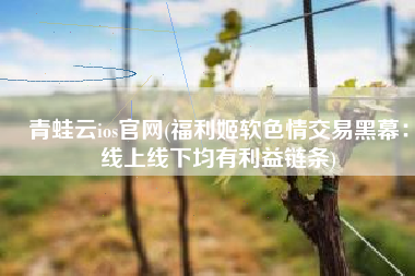 青蛙云ios官网(福利姬软色情交易黑幕：线上线下均有利益链条)