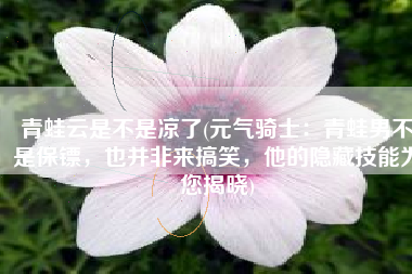 青蛙云是不是凉了(元气骑士：青蛙男不是保镖，也并非来搞笑，他的隐藏技能为您揭晓)