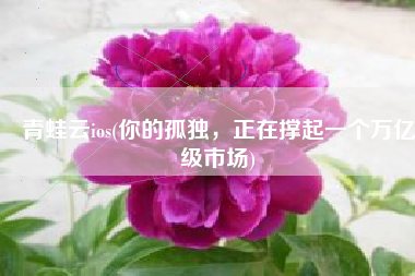 青蛙云ios(你的孤独，正在撑起一个万亿级市场)