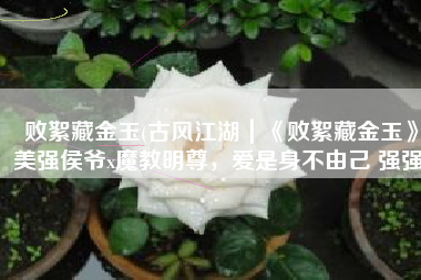 败絮藏金玉(古风江湖｜《败絮藏金玉》美强侯爷x魔教明尊，爱是身不由己 强强)