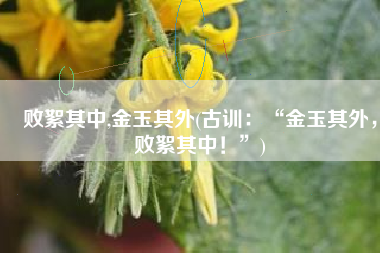 败絮其中,金玉其外(古训：“金玉其外，败絮其中！”)