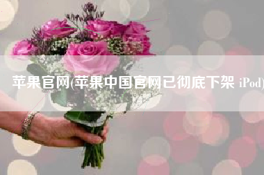 苹果官网(苹果中国官网已彻底下架 iPod)