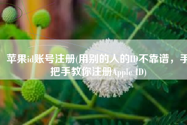苹果id账号注册(用别的人的ID不靠谱，手把手教你注册Apple ID)