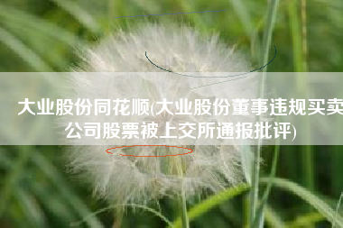 大业股份同花顺(大业股份董事违规买卖公司股票被上交所通报批评)