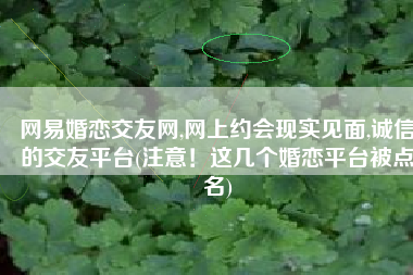 网易婚恋交友网,网上约会现实见面,诚信的交友平台(注意！这几个婚恋平台被点名)
