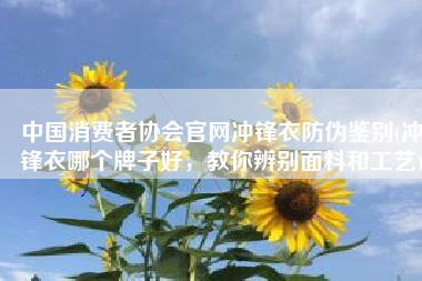 中国消费者协会官网冲锋衣防伪鉴别(冲锋衣哪个牌子好，教你辨别面料和工艺)