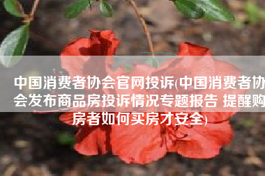 中国消费者协会官网投诉(中国消费者协会发布商品房投诉情况专题报告 提醒购房者如何买房才安全)
