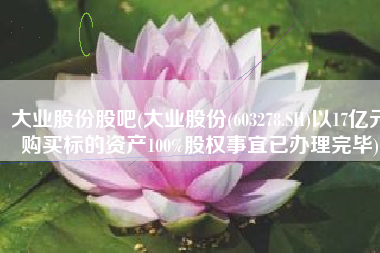 大业股份股吧(大业股份(603278.SH)以17亿元购买标的资产100%股权事宜已办理完毕)