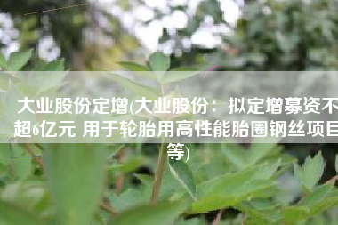 大业股份定增(大业股份：拟定增募资不超6亿元 用于轮胎用高性能胎圈钢丝项目等)