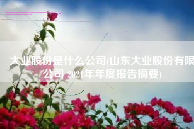 大业股份是什么公司(山东大业股份有限公司 2021年年度报告摘要)
