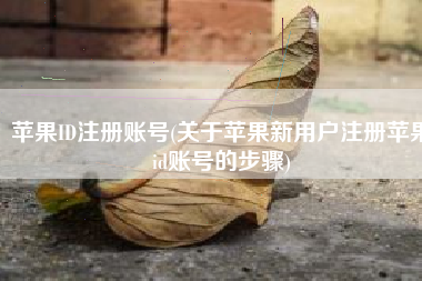 苹果ID注册账号(关于苹果新用户注册苹果id账号的步骤)