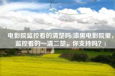 电影院监控看的清楚吗(漆黑电影院里，监控看的一清二楚，你支持吗？)