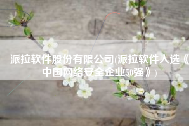 派拉软件股份有限公司(派拉软件入选《中国网络安全企业50强》)