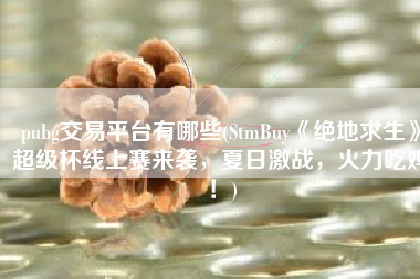 pubg交易平台有哪些(StmBuy《绝地求生》超级杯线上赛来袭，夏日激战，火力吃鸡！)