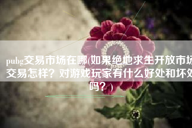 pubg交易市场在哪(如果绝地求生开放市场交易怎样？对游戏玩家有什么好处和坏处吗？)