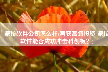 派拉软件公司怎么样(再获高瓴投资 派拉软件能否成功冲击科创板？)
