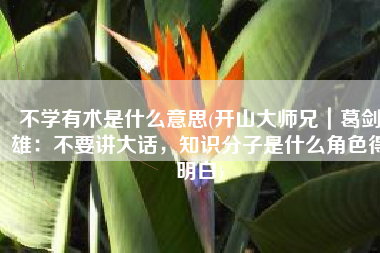 不学有术是什么意思(开山大师兄｜葛剑雄：不要讲大话，知识分子是什么角色得明白)