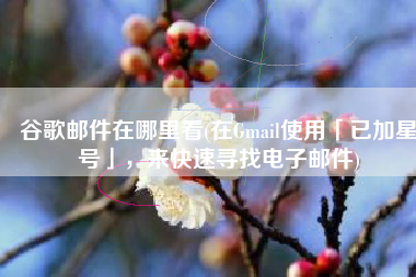 谷歌邮件在哪里看(在Gmail使用「已加星号」，来快速寻找电子邮件)