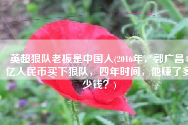 英超狼队老板是中国人(2016年，郭广昌4亿人民币买下狼队，四年时间，他赚了多少钱？)