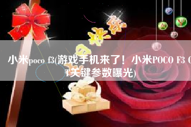 小米poco f3(游戏手机来了！小米POCO F3 GT关键参数曝光)