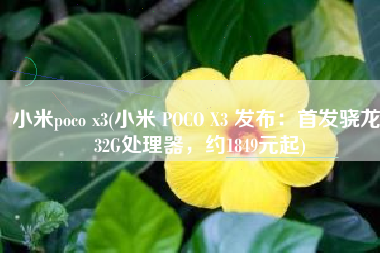 小米poco x3(小米 POCO X3 发布：首发骁龙732G处理器，约1849元起)