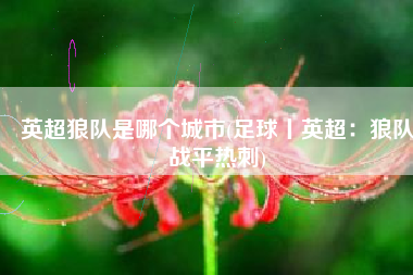 英超狼队是哪个城市(足球丨英超：狼队战平热刺)