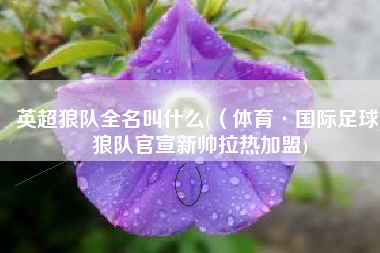 英超狼队全名叫什么(（体育·国际足球)狼队官宣新帅拉热加盟)