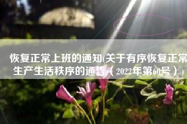 恢复正常上班的通知(关于有序恢复正常生产生活秩序的通告（2022年第60号）)