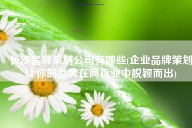 长沙品牌策划公司有哪些(企业品牌策划让你的品牌在同行业中脱颖而出)