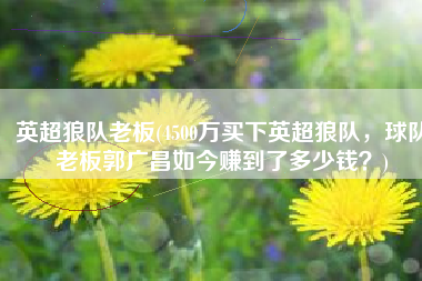 英超狼队老板(4500万买下英超狼队，球队老板郭广昌如今赚到了多少钱？)