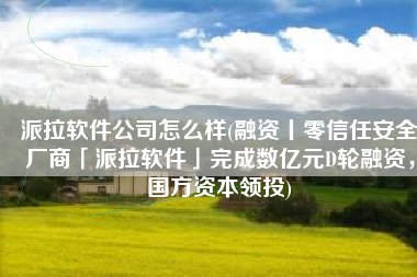 派拉软件公司怎么样(融资丨零信任安全厂商「派拉软件」完成数亿元D轮融资，国方资本领投)