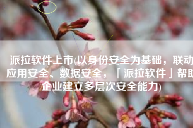 派拉软件上市(以身份安全为基础，联动应用安全、数据安全，「派拉软件」帮助企业建立多层次安全能力)