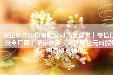 派拉软件股份有限公司(36氪首发｜零信任安全厂商「派拉软件」完成数亿元D轮融资，国方资本领投)