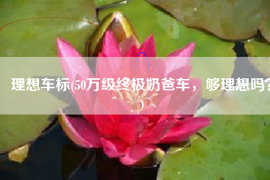 理想车标(50万级终极奶爸车，够理想吗？)