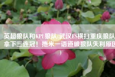 英超狼队和KPL狼队(武汉ES横扫重庆狼队，拿下三连冠！拖米一语道破狼队失利原因)