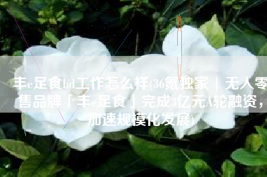 丰e足食bd工作怎么样(36氪独家 | 无人零售品牌「丰e足食」完成3亿元A轮融资，加速规模化发展)