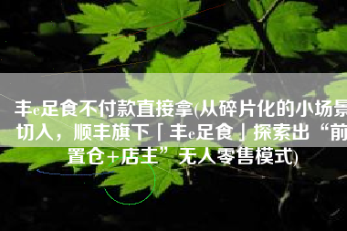 丰e足食不付款直接拿(从碎片化的小场景切入，顺丰旗下「丰e足食」探索出“前置仓+店主”无人零售模式)