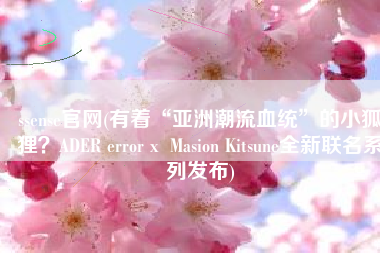 ssense官网(有着“亚洲潮流血统”的小狐狸？ADER error x  Masion Kitsune全新联名系列发布)