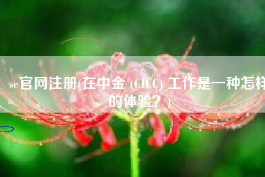 se官网注册(在中金 (CICC) 工作是一种怎样的体验？)