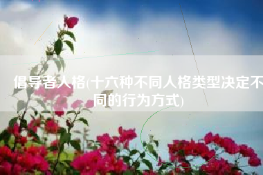 倡导者人格(十六种不同人格类型决定不同的行为方式)