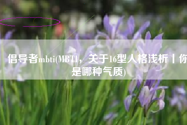 倡导者mbti(MBTI，关于16型人格浅析丨你是哪种气质)