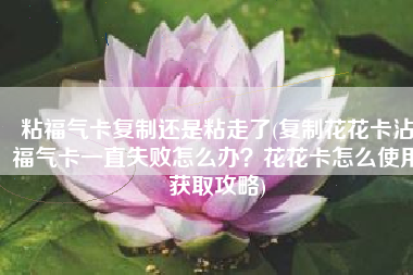 粘福气卡复制还是粘走了(复制花花卡沾福气卡一直失败怎么办？花花卡怎么使用获取攻略)