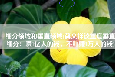 细分领域和垂直领域(龚文祥谈重度垂直细分：赚1亿人的钱，不如赚1万人的钱)