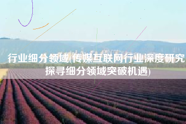 行业细分领域(传媒互联网行业深度研究：探寻细分领域突破机遇)