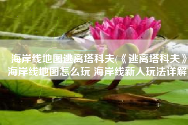 海岸线地图逃离塔科夫(《逃离塔科夫》海岸线地图怎么玩 海岸线新人玩法详解)