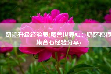 奇迹升级经验表(魔兽世界9.2：奶萨独狼集合石经验分享)