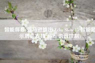 智能屏幕(亚马逊推出 Echo Show 15 智能显示屏，支持 Alexa 语音控制)