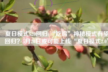 夏日模式520回归(“吃鸡”神秘模式有望回归？5月20日或可能上线“夏日模式2.0”)