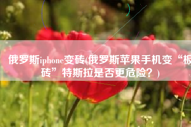 俄罗斯iphone变砖(俄罗斯苹果手机变“板砖”特斯拉是否更危险？)